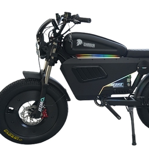 Bicicleta Eléctrica Híbrida Todoterreno RF250RX de 250cc, 3000w, 30AH/60AH, Neumáticos Anchos, Batería de Litio de 48V, Cuadro de Acero, >80km/h, EE. UU. - Product Image 1