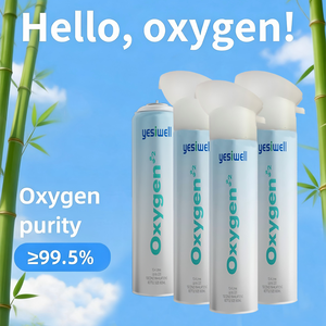 Bouteille d'oxygène portable, réservoir de 10 L, capacité de la bouteille d'oxygène portable, trousse de voyage d'urgence en plein air, bouteille d'oxygène respiratoire - Product Image 5