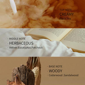 Huile capillaire au thé noir anglais, huile de thé vert, biotine et protéines, revitalise, renforce, protège, donne de l'éclat, des cheveux doux et faciles à coiffer - Product Image 4