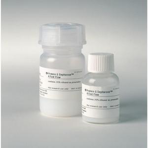 Proteína G Sepharose 4 de flujo rápido 25 ml Suministros de laboratorio - Product Image 1