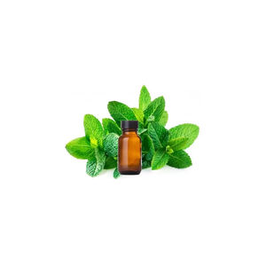 Huile essentielle de menthe verte naturelle pure d'approvisionnement d'usine pour les cheveux et le visage lavande Oi - Product Image 3