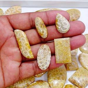 ปะการังฟอสซิลธรรมชาติ100% อัญมณีหลวมรูปร่างผสมและขนาดฟอสซิลปะการัง Cabochon อัญมณีหลวมสำหรับใช้ทำเครื่องประดับ - Product Image 3