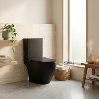 WC deux pièces noir mat Tornado Flush avec cuvette ronde en céramique et abattant à fermeture douce, sanitaires CE pour salle de bain