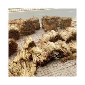 Fibra natural cruda de jacinto de agua, material ecológico para tejer y fabricar - Product Image 1