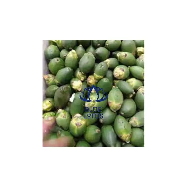 냉동 녹색 Areca 베트남 저렴한 가격 인도 시장