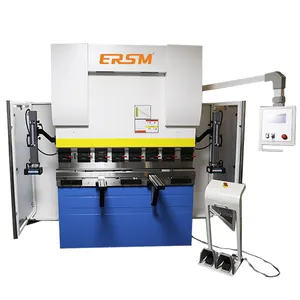 EHP-5016 Made in China potenza principale 2*4.4kw corsa del cilindro 120mm gola profondità 300mm pressa freno utensili