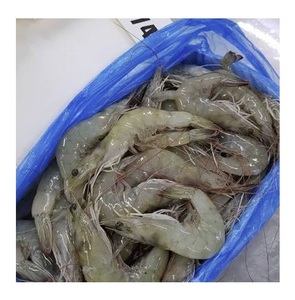 Camarones Vannamei HOSO Congelados al por Mayor, Camarones Blancos Naturales de Calidad de Exportación - Product Image 3