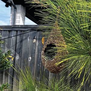 Nichoir en forme de goutte d'eau, nid de pinson en jonc de mer tissé, abri de mésange naturel pour jardin intérieur et extérieur - Product Image 4