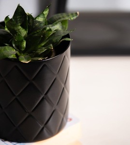 Mini macetas colgantes de diseño moderno exclusivas, maceta recubierta de polvo para jardín, hogar, balcón, sala de estar, eleva tu espacio - Product Image 4