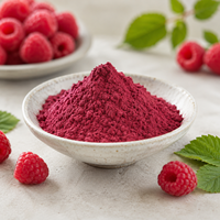 Natuurlijk Rode Frambozenextract Poeder Voedingsmiddelkwaliteit Fruit Ingrediënt OEM ODM Private Label Groothandel Bulk Fabriek Leverancier