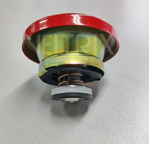 Tapa de Radiador 1874445M94 para Massey Ferguson 1874455M93, Repuestos para Tractor - Product Image 2