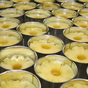 APPROVISIONNEMENT EN CONSERVE D'ANANAS DU VIETNAM-LA QUALITÉ RÉPOND À LA DEMANDE MONDIALE - Product Image 6