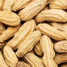 Premium Quality Natural Organic Shelled <b>Peanuts</b> Available at Competitive Prices - Product Image 2