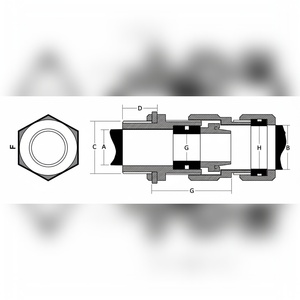 Presse-câble à double compression antidéflagrant et ignifuge IIC IP66 en laiton M20 pour zone dangereuse Ex d AEFP série IIC - Product Image 6