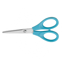Ciseaux à ongles droits en acier inoxydable, pointus et brillants, confortables pour droitiers, pour manucure et coiffure