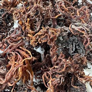 Laut ungu kering organik lumut Eucheuma Cottonii Gracilaria obral besar Harga terbaik untuk kesehatan, makanan, penggunaan kosmetik/ANNA DO