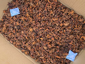 Dried Star Anise Hot Selling <b>Product</b> Raw Material Viet Nam <b>Herbs</b> and Spicy Premium Quality Bold flavour WS+84359166896 - Product Image 2