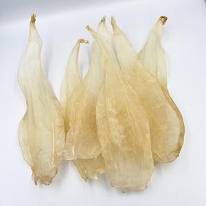 กางเกงว่ายน้ำขาเดียวปลาแห้งมุม2023ใหม่ - Product Image 1