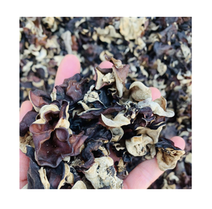 Hongo de oreja de diablo (Cloud Wood Ear Fungus) y hongo negro seco, suministro al por mayor desde Vietnam - Product Image 1