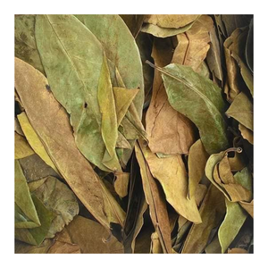 สมุนไพรใบกราวิโอลาสำหรับใช้ในตลาดเอเชีย - Product Image 6