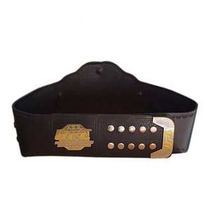 Fabricant de ceintures personnalisées Heavy Duty Big Gold Metal Plate Wrestling Boxing Martial Arts WWF Championship Belts - Product Image 2