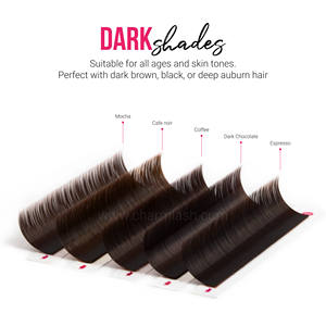 Charmlash <b>Individual</b> Lashes Wholesale Brown Volume Lashes Classic <b>Eyelash</b> Extension Trays Semi Matte Natural Look - Product Image 4