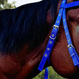 Cómodas bridas para montar a caballo hechas en Pakistán Precio razonable Material sólido Bridas para montar a caballo - Product Image 6