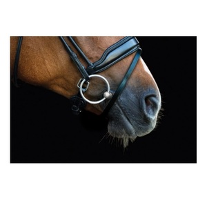 La brida de cuero más vendida combina funcionalidad con la comodidad del caballo y una sola pieza en forma de estilo deportivo - Product Image 4