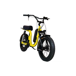 Puncture to Conquer Resistant Tyres Waya Zulu 250 Durable & Fast <b>Hybrid</b> Electric <b>Bike</b> for Indian Streets & Urban Adventures - Product Image 1