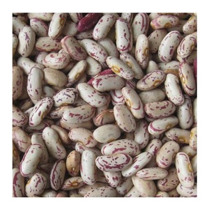 <b>Bean</b> Sugar (Red Speckled) Wholesale Price Red Sparkling Kidney <b>Beans</b> - Product Image 6