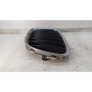 Rejilla Decorativa Izquierda para BMW Serie X1 (E84) 51112993305 N47D20C (09>15) - Product Image 6