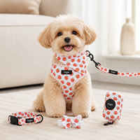 Ensemble Harnais et Laisse Personnalisés pour Chien – Gilet Anti-Traction Réglable avec Laisse Assortie pour Chiens de Petite et Moyenne Taille – Vente en Gros