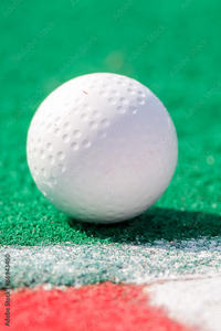 Pelota de hockey de plástico duradero de alto rendimiento, diseño resistente para práctica y competición - Product Image 2