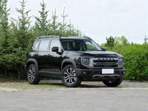 Haval Big Dog 2024 1.5T DCT Edición Border Collie es un SUV Compacto - Product Image 3