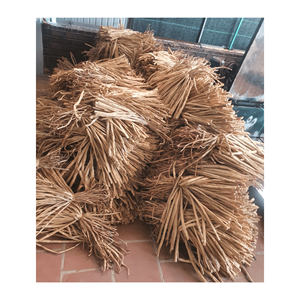 DRIED WATER HYACINTH MATERIAL FOR HANDICRAFTS/ DRIED WATER HYACINTH WITH HIGH QUALITY AND BEST PRICE FROM 99GD - Product Image 2