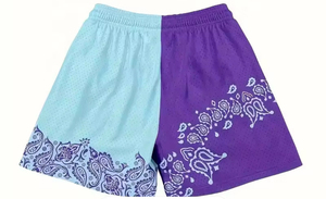 Hot Selling Custom Logo Pasiley Print Sportswear High Street Mesh Baseball Shorts 5 Inch Inseam Canvas Private Label Wholesale - Product Image 6