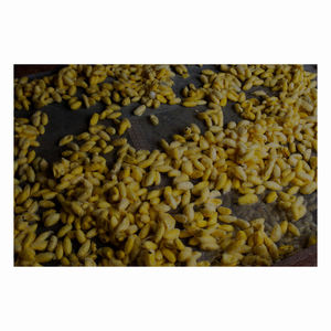 Harina de Gusano de Seda de Alta Calidad para Ganado - Empaque a Granel Precio con Descuento - Product Image 1