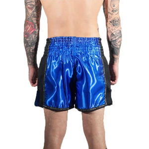 Personnalisé 2025 Top Qualité Mma Short De Boxe Professionnel Kickboxing Formation Muay Thai Shorts Martiat Art Bjj Shorts - Product Image 2