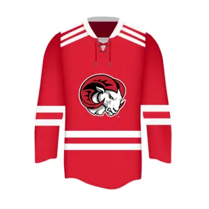 Winston-Salem State University WSSU Ice Hockey Shirt Jersey