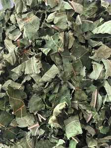 Las hojas de papaya se utilizan a menudo en recetas tradicionales que aportan un aroma exótico y mejoran el sabor de las comidas diarias - Product Image 3