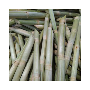 Venta al por mayor precio de fábrica caña de azúcar congelada dulce ROC16 caña de azúcar de buena calidad congelación caña de azúcar para hacer jugo listo para exportar - Product Image 1