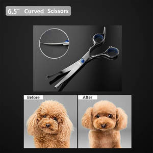 ชุดกรรไกรเสริมสวยสุนัขสแตนเลสสำหรับดูแลสัตว์เลี้ยงเครื่องมือผ่าตัดสัตวแพทย์ออนไลน์ - Product Image 4