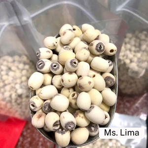 100% เมล็ดบัวธรรมชาติ/ตากแห้งคัดสรรด้วยมือและบรรจุเพื่อการส่งออก/คุณลิมา - Product Image 2