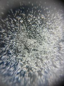 Polvo de diamante purificado para bhasma Ayurvédico y computación (espintrónica). - Product Image 4