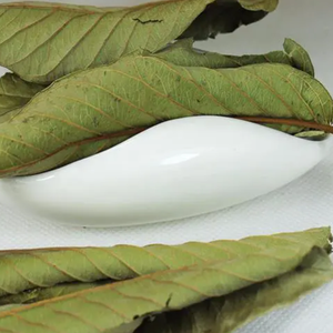 Prix de gros 100% Thé aux feuilles de goyave en sachet Thé aux feuilles de goyave biologique du Vietnam - Product Image 6