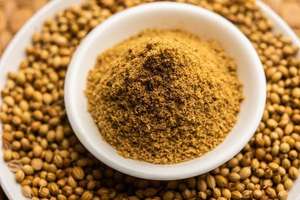 Fournisseur en vrac de première qualité d'assaisonnement à base d'épices dhania en poudre de coriandre séchée pour la transformation des aliments pour l'exportation de marques de détail - Product Image 2