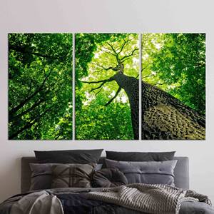 Toile imprimée Paysage Arbre Vert : Décoration Bohème, LOT DE 3 TOILES - Product Image 1