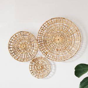 Décoration suspendue moderne en jacinthe d'eau, centre de table, offre exceptionnelle, fibre durable, art mural - Product Image 1