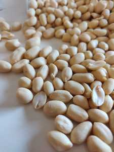 Cacahuetes blanqueados de primera calidad 100% granos naturales sin piel para hornear confitería Fabricación de aperitivos recién procesados a granel - Product Image 4