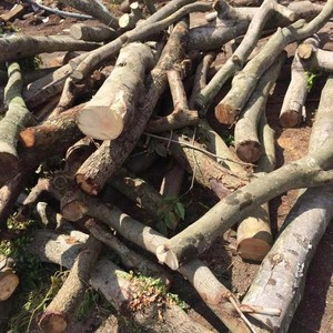 2024 Pulvérisateur de tronc d'arbre de haute qualité Déchiqueteuse de bois Pulvérisateur complet de bois agricole - Product Image 2